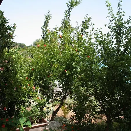 Apartment By The Sea - Perna, Peljesac - 4542