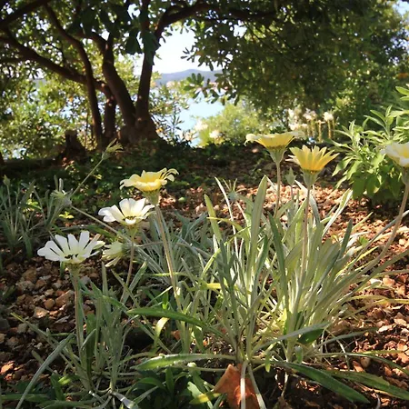 By The Sea - Perna, Peljesac - 4542 Appartement Kuciste