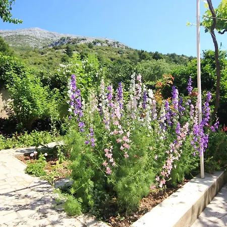 By The Sea - Perna, Peljesac - 4542