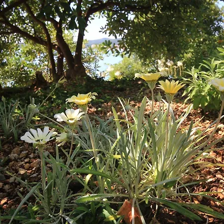 By The Sea - Perna, Peljesac - 4542 库希斯特