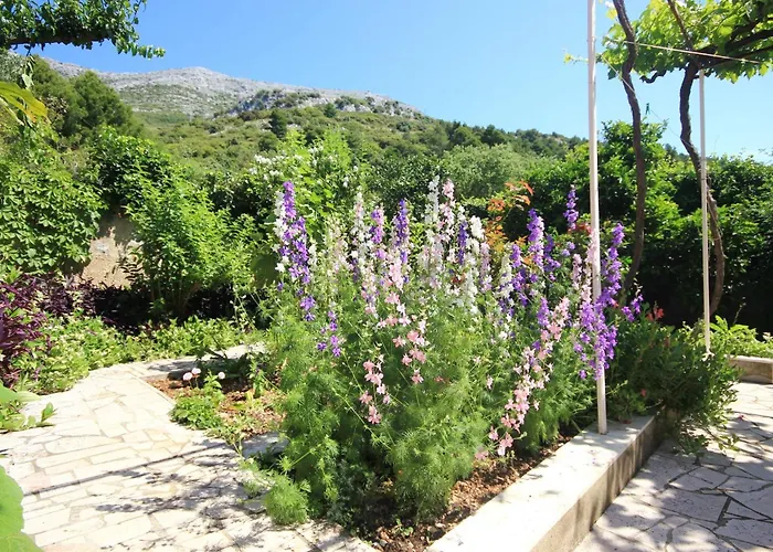 By The Sea - Perna, Peljesac - 4542 Kućište